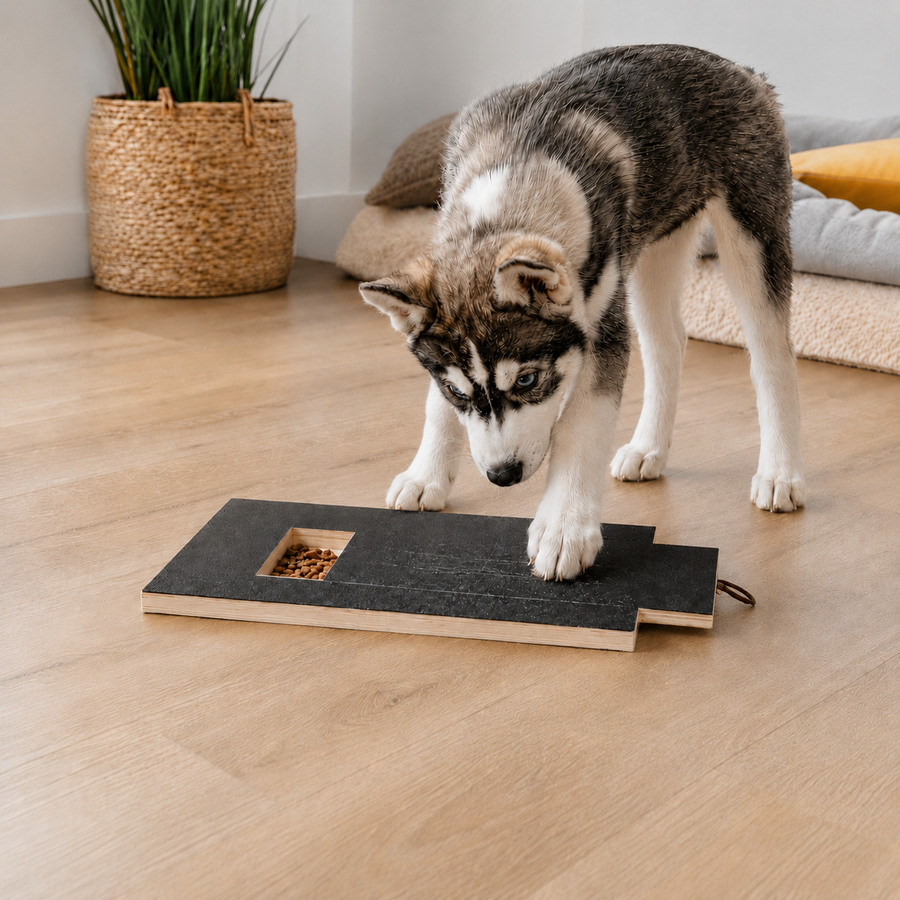 CalmClaws™ Dog Nail Scratch Board Kit