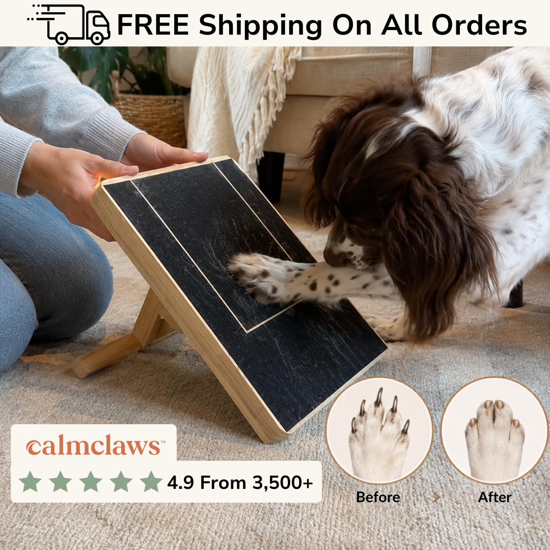 Nail trims your dog will actually love.