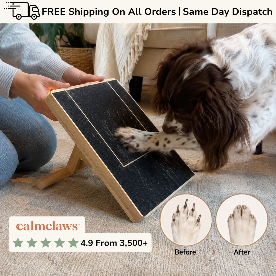 Nail trims your dog will actually love.
