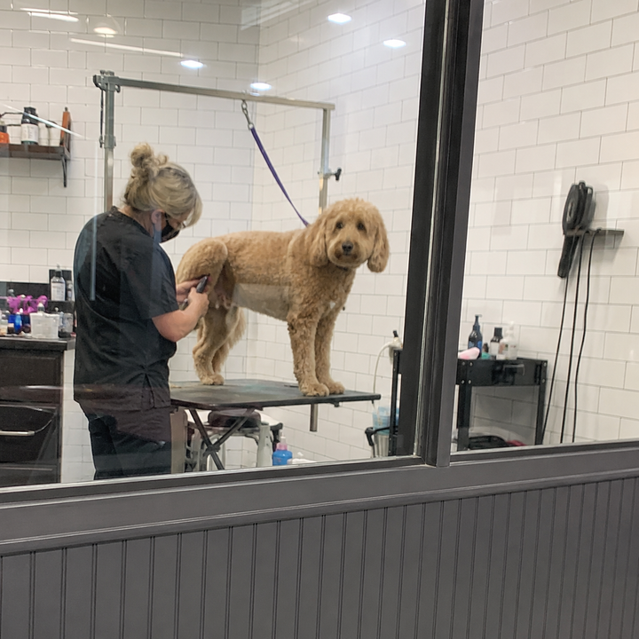 The Groomer Tax