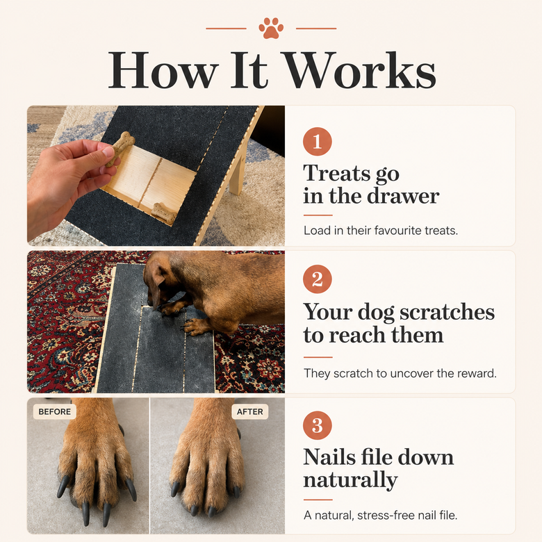 An infographic titled 'How It Works' explains a dog nail file product with three steps: treats go in the drawer, the dog scratches to reach them, and the nails file down naturally. It includes before-and-after photos of a dog's claws and a hand using the file.