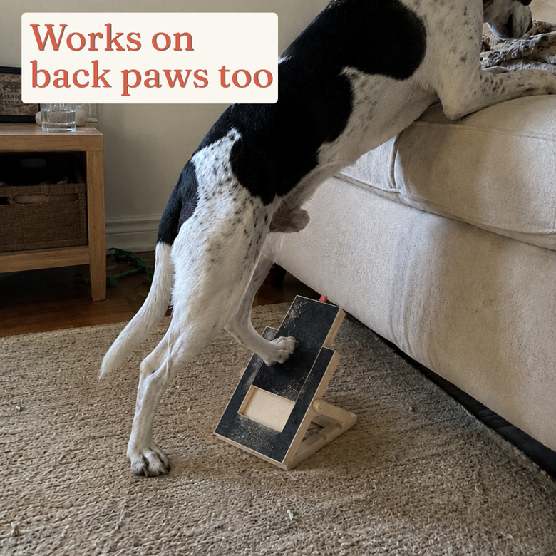 CalmClaws™ Dog Nail Scratch Board